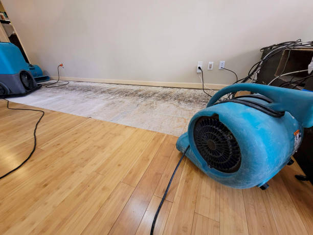 Professional Sewage Cleanup technician working in Glenmont, NY